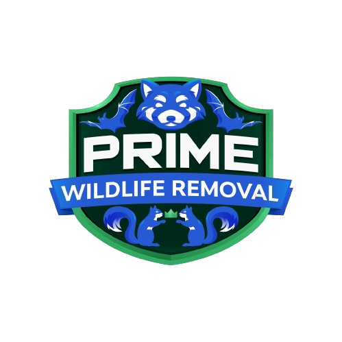 Animal Removal Paoli